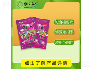 �����������������������-�r(n��ng)С��-�f��GԴ