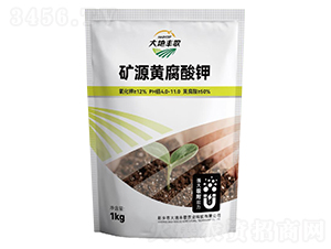 �VԴ�S�����-����S��