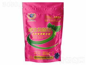 ���܌��Ï�(f��)�Ͼ�-�܃|���M֦�^-�����r(n��ng)�I(y��)