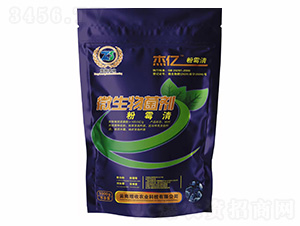 �܃|��ù��-�����r�I(y��)