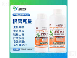 ��������-�B��r(n��ng)�I(y��)