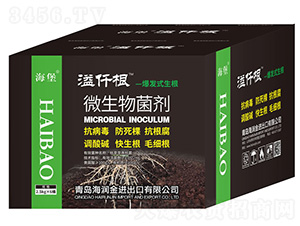 ΢����������䣩-����-������