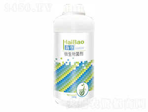 ����΢�������-������