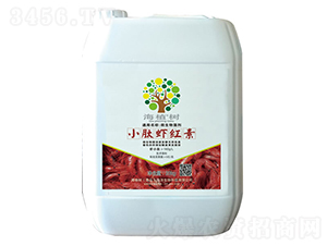 С���r�t��-��ֲ��