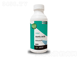 �V�V�������~���-�����Z-���V�S����