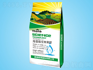 ����΢�������-����r(n��ng)�I(y��)