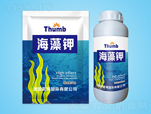 �����-����r(n��ng)�I(y��)