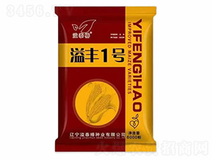 ���S1̖-����r(n��ng)�I(y��)