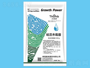 5kg����ľù����10�|�����-����r(n��ng)�I(y��)