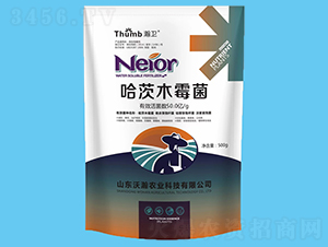 ����ľù����50�|�����-��l(w��i)-����r�I(y��)