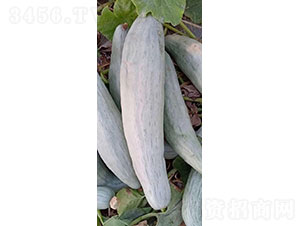 �F����һ̖�ϹϷN��-�A���r(n��ng)�I(y��)