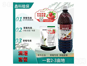 ��ݮ�t���������`�ײ�-�ο�ֲ��