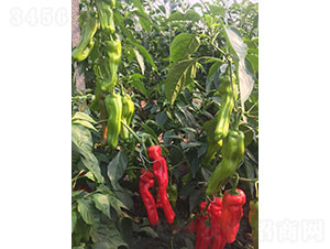 �R���2219���������N��-�A���r(n��ng)�I(y��)