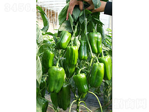 ��Խ�����N��-�A���r(n��ng)�I(y��)