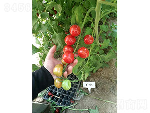 �Ї��t���ҷ��ѷN��-�A���r(n��ng)�I(y��)