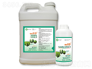 �������-����