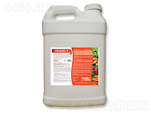 ���_����-����