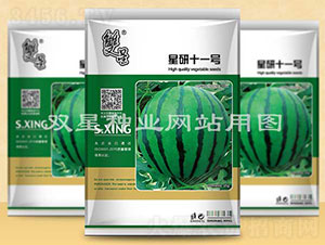 星研十一號-西瓜種子-雙星種業(yè)