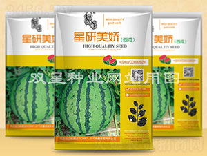 星研美嬌-西瓜種子-雙星種業(yè)