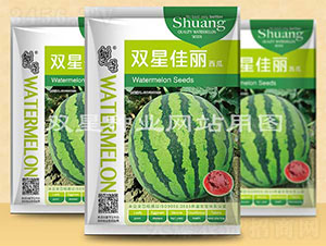 �p�Ǽ���-���ϷN��-�p�ǷN�I(y��)