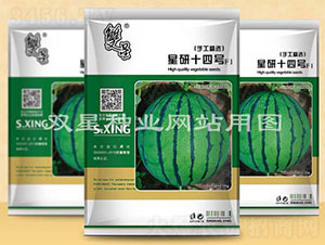 ����ʮ��̖-���ϷN��-�p�ǷN�I(y��)