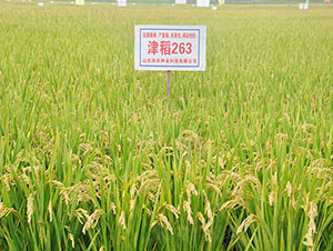 ��263-ˮ���N��-�Ǻ���(r��n)�r(n��ng)