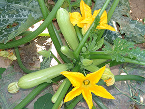 ����-�����J�N��-�A���N��