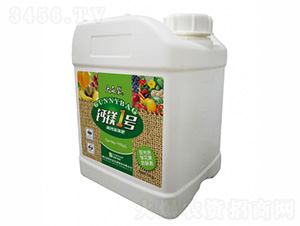 ���}���w��-�}�V1̖-�����-���v����