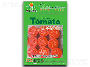 ���t���N��-�tϲ����F1-���J�tϲ