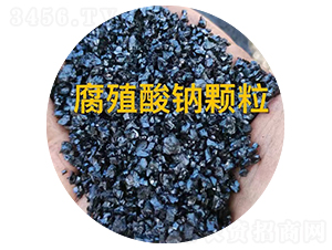 ��ֳ���c�w��-��������