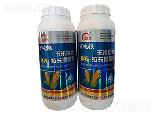 �a(b��)�\���L(zh��ng)���L(zh��ng)��-��ʢ�_(d��)