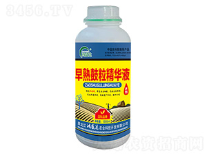 ����������AҺ-��ʢ�_(d��)