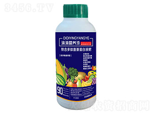 �εΠI(y��ng)�B(y��ng)Һ-��ʢ�_(d��)