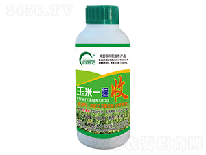 ����һ����-��ʢ�_(d��)