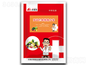 ���砀��ֲ������-������