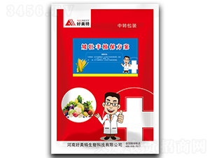 �����Sֲ������-������