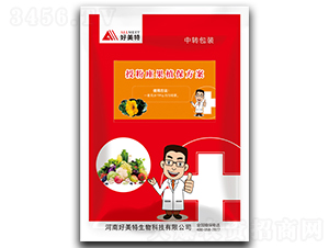 �ڷ�����ֲ������-������