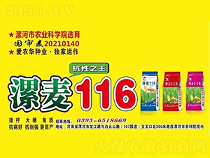 ����116-С���N��-��(��i)�r(n��ng)�A�N�I(y��)