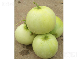 �O�����-��ϷN��-�V��