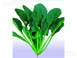 ��������-���˷N��-�V��