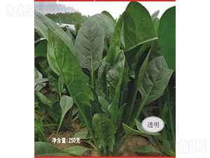 �¼o(j��)Ԫ����-���˷N��-�V��