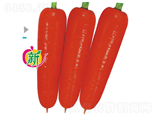 ����F1����29-2���}��-���}���N��-�V��