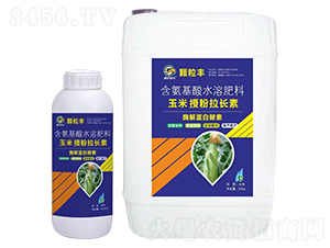 玉米授粉拉長素-顆粒豐-鵬達邦農(nóng)