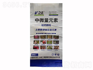 ���}�w����΢��Ԫ��-�V֮��-���r(n��ng)