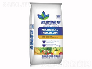 ΢�������-������-���r(n��ng)