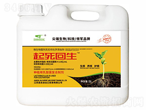 ��������5L-(li��n)��μ�