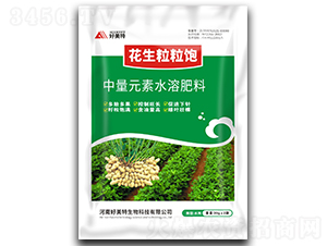 ���������-������ 