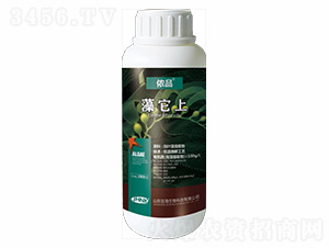 ������-�zƷ-�޺�����