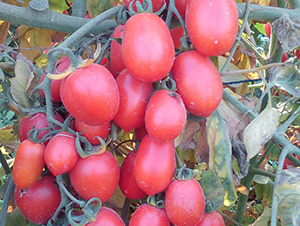 ����-���ҷ��ѷN��-�A���N��