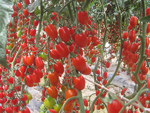 ����-���ҷ��ѷN��-�A���N��